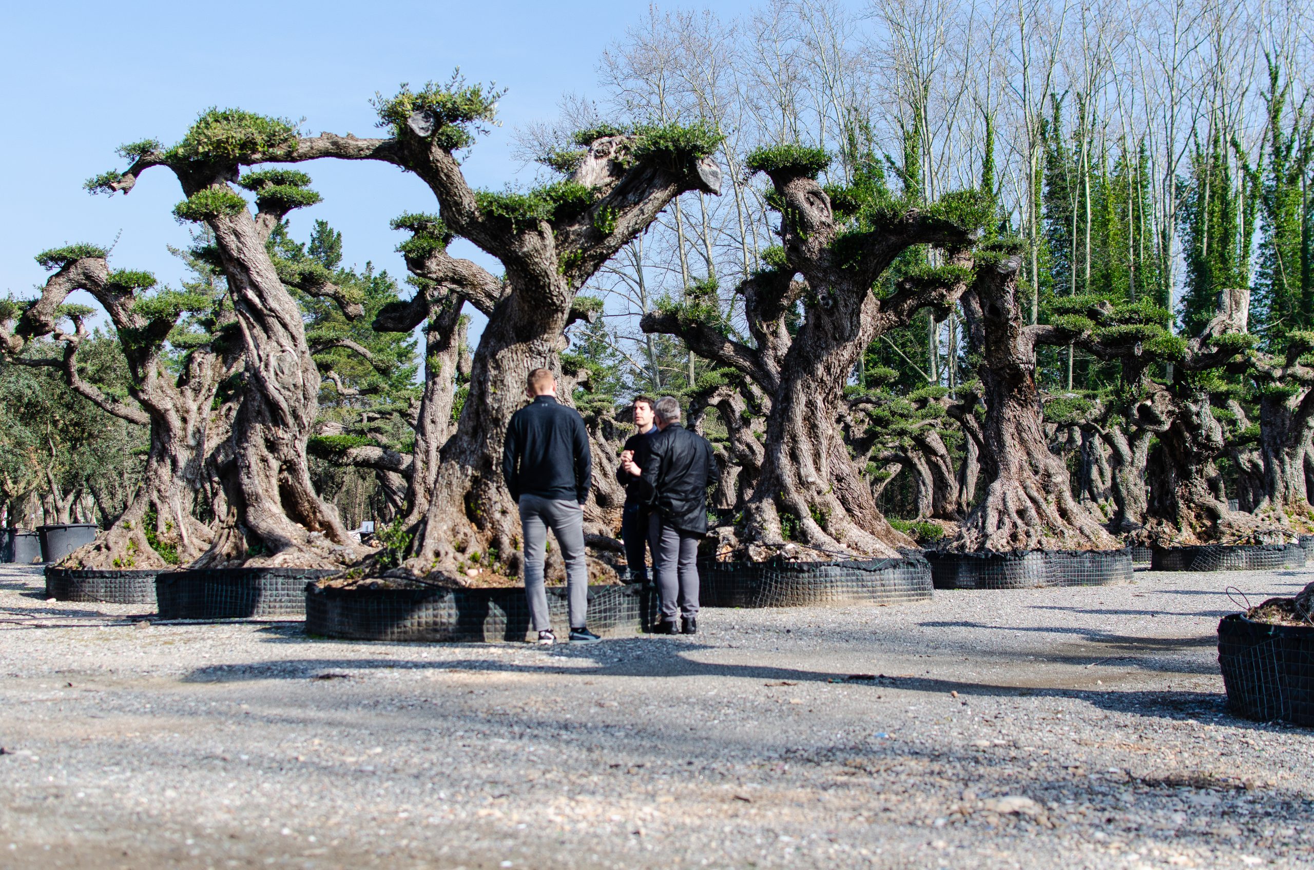 Location & Selection